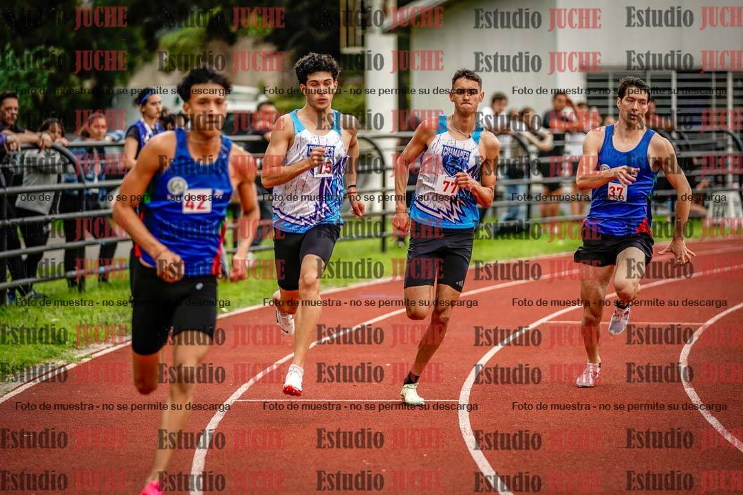 Fotos de los 800 m llanos de varones