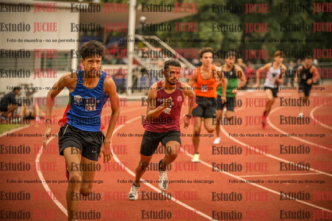 Fotos de los 800 m llanos de varones