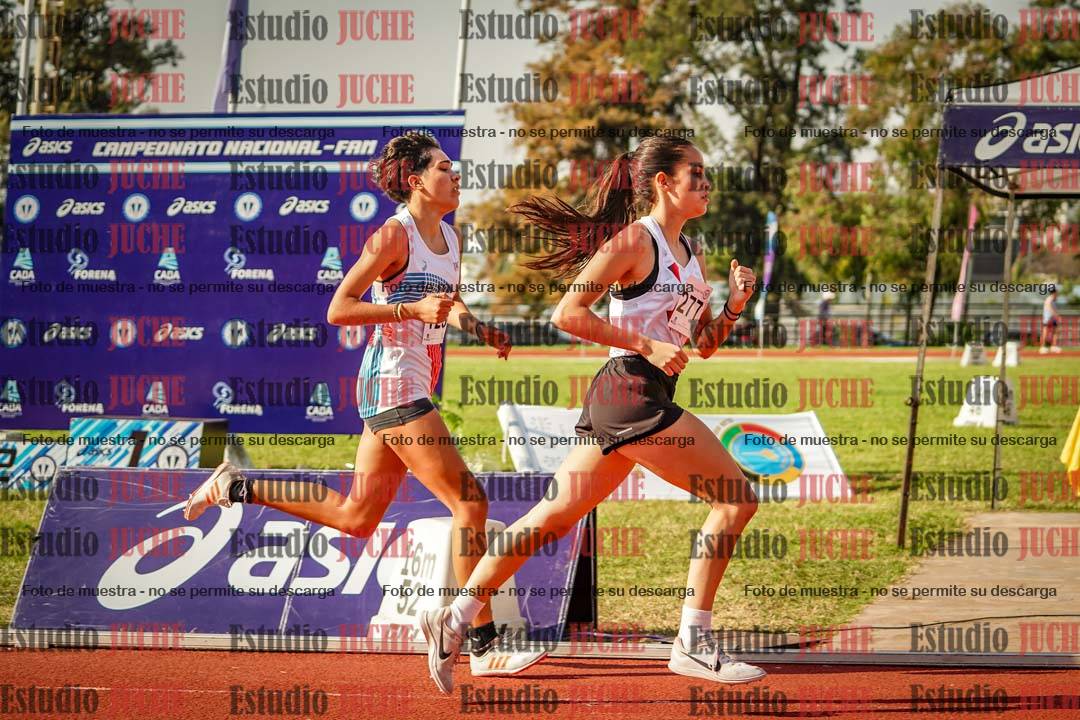 Fotos de los 800 m llanos de mujeres