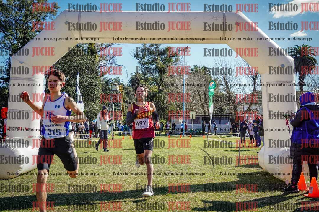 Fotos de la llegada del cross de 2000 m