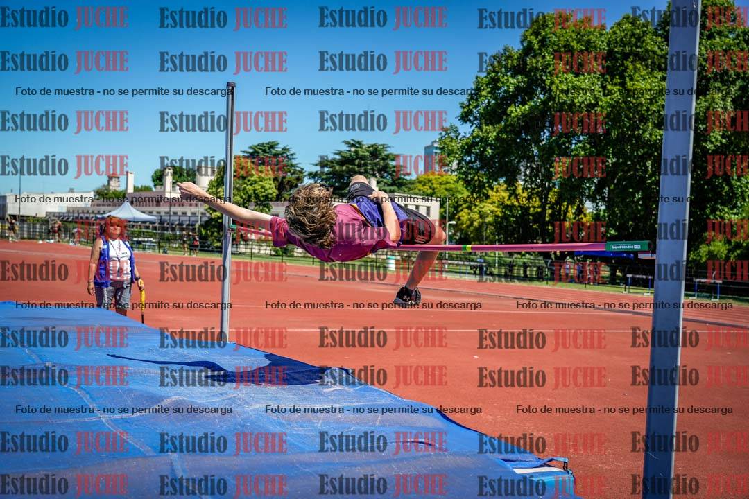 Fotos del salto en alto de varones