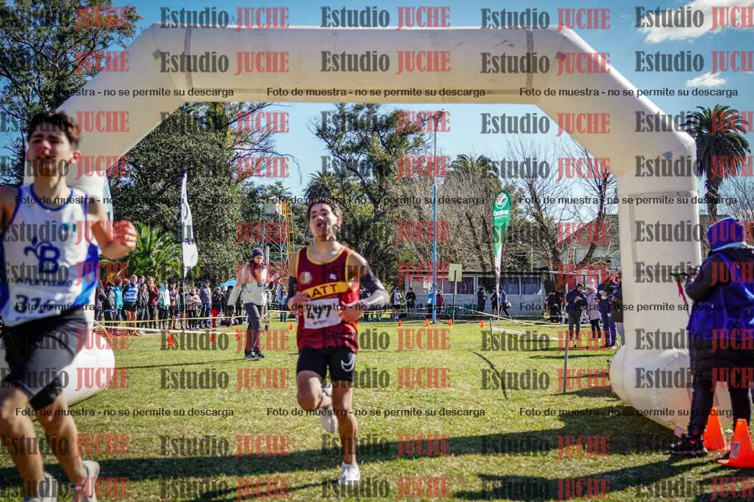Fotos de la llegada del cross de 2000 m