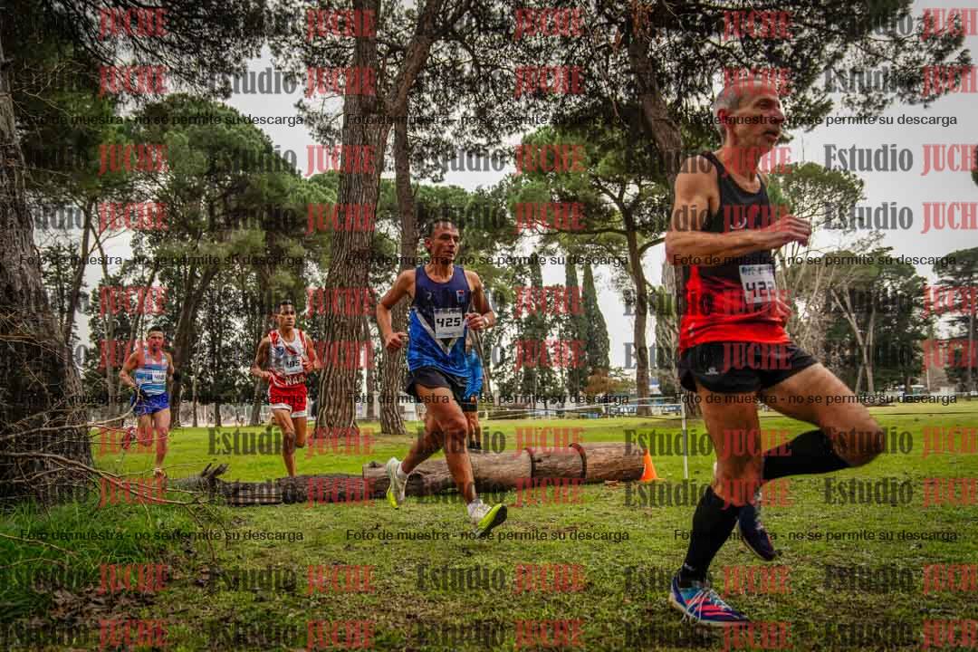 Fotos en el circuito