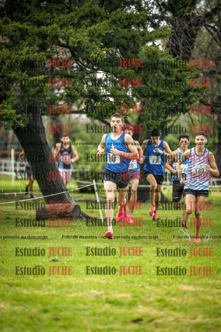 Fotos en el circuito