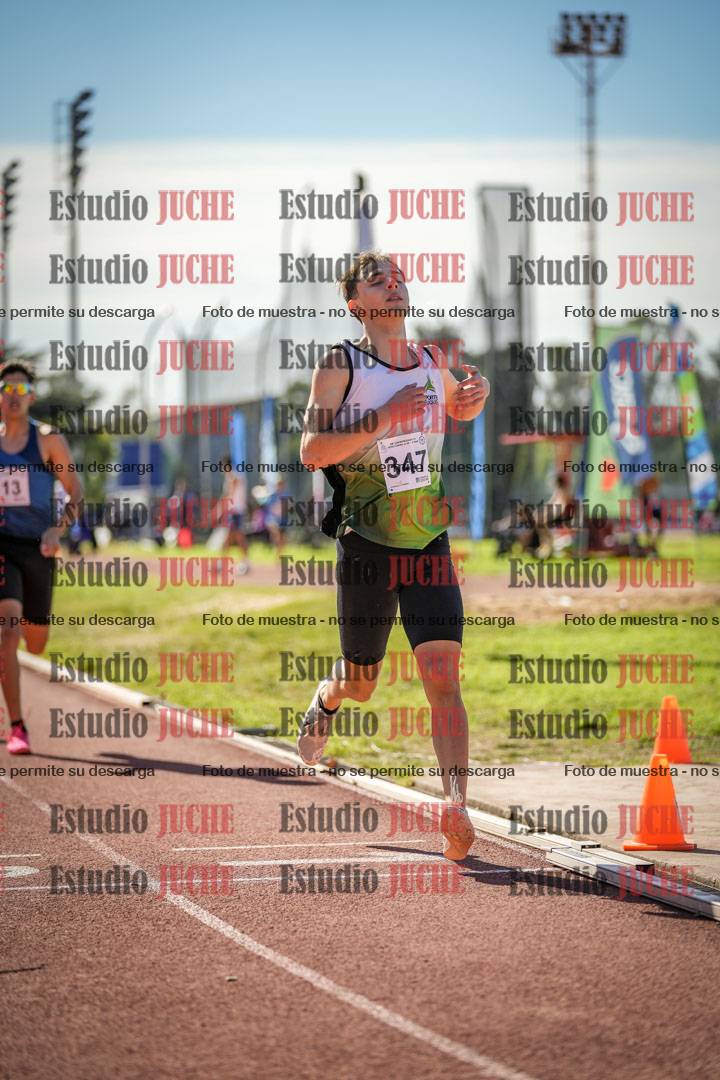 Fotos de los 800 m llanos de varones