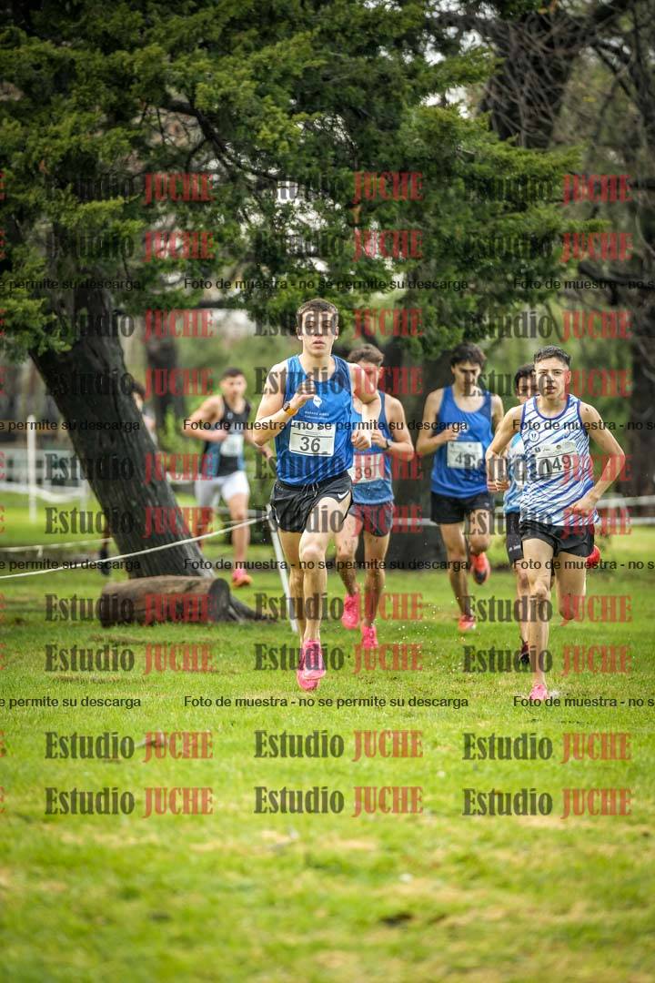 Fotos en el circuito