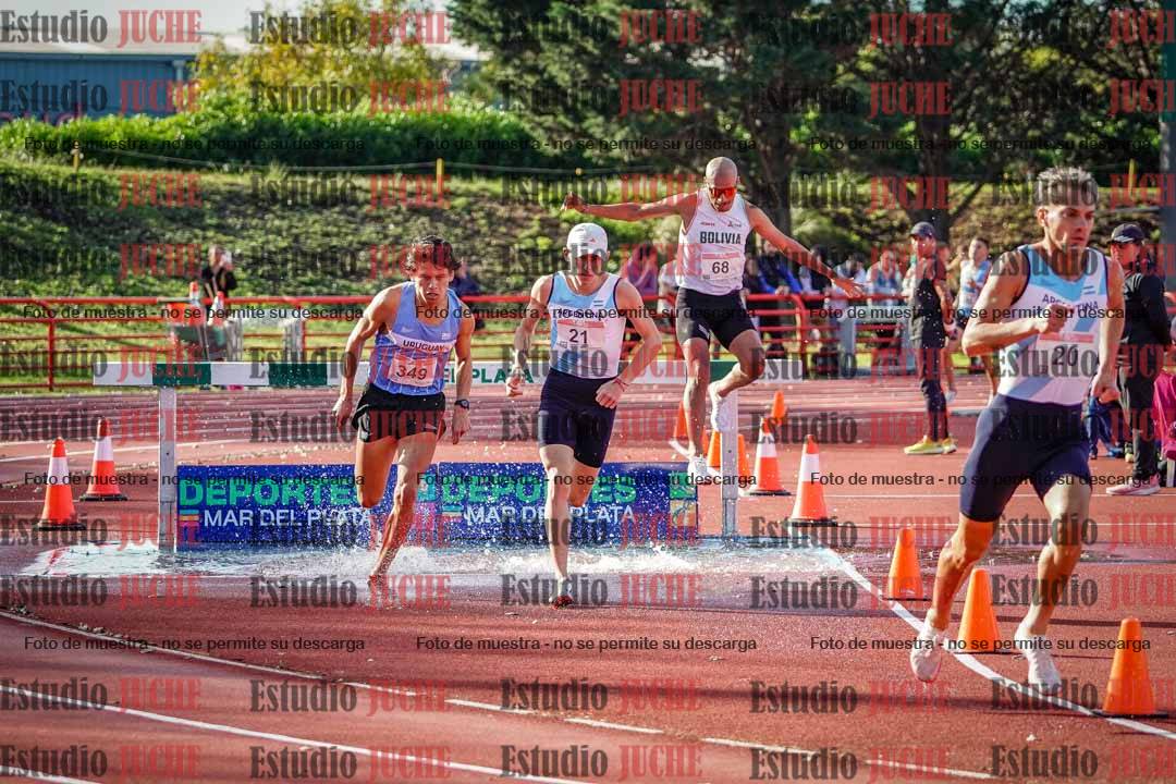 Fotos de los 3000 m con obstáculos de varones