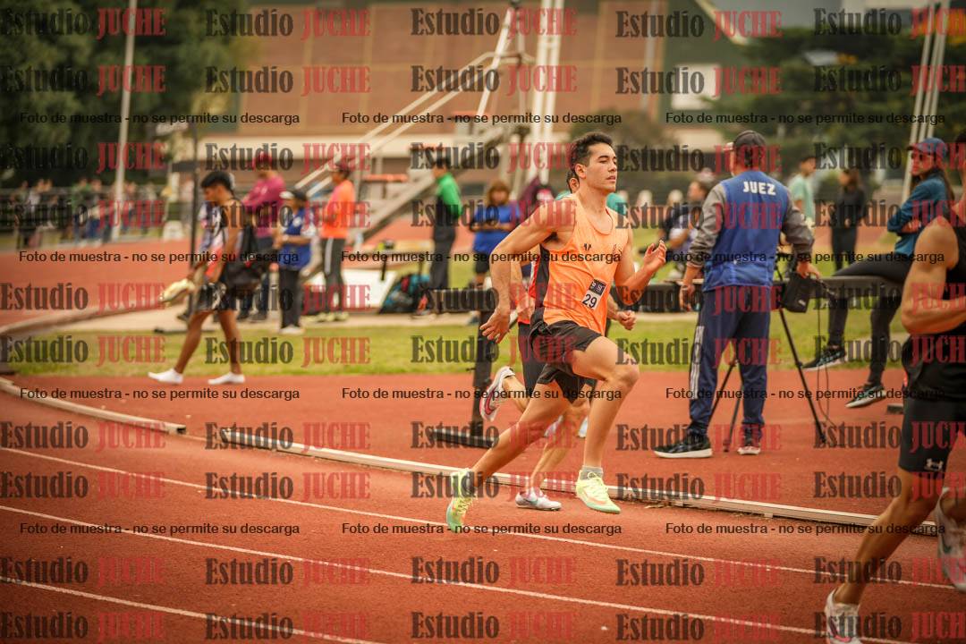 Fotos de los 800 m llanos de varones
