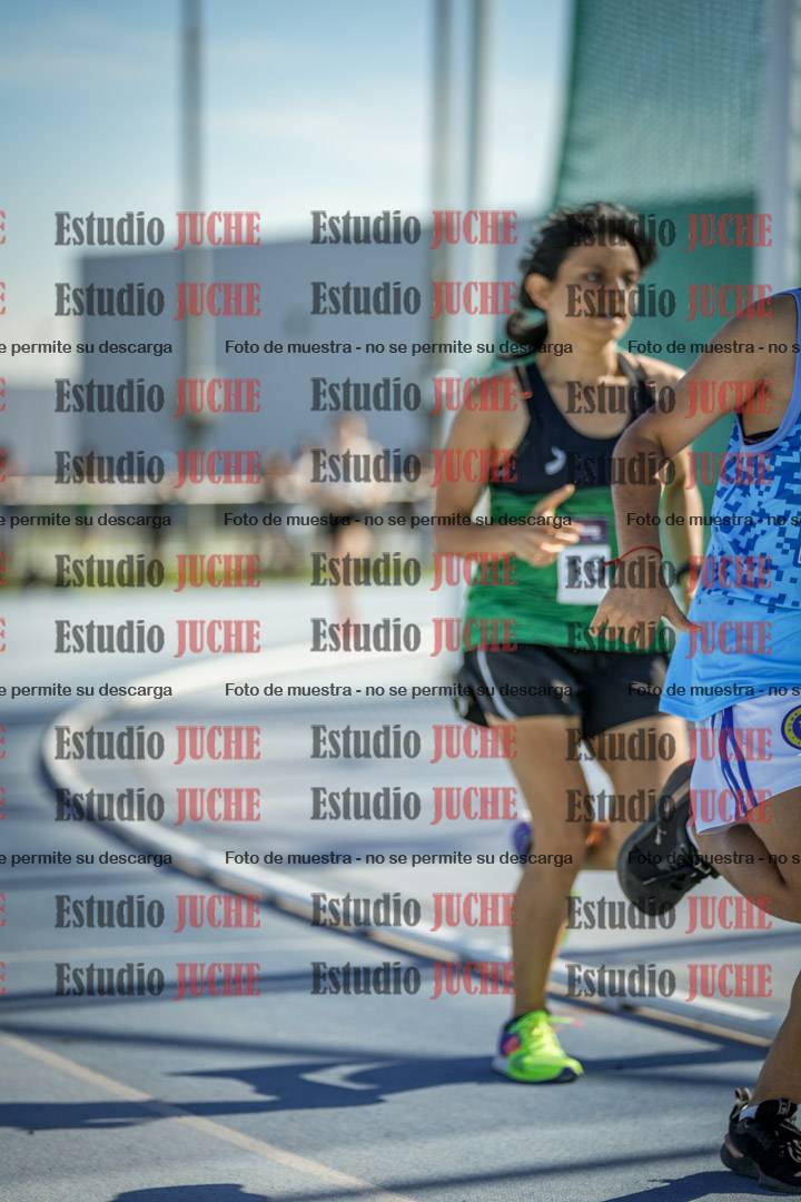 Fotos de los 1500 m llanos de mujeres