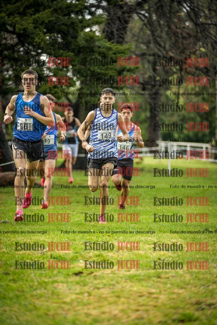 Fotos en el circuito