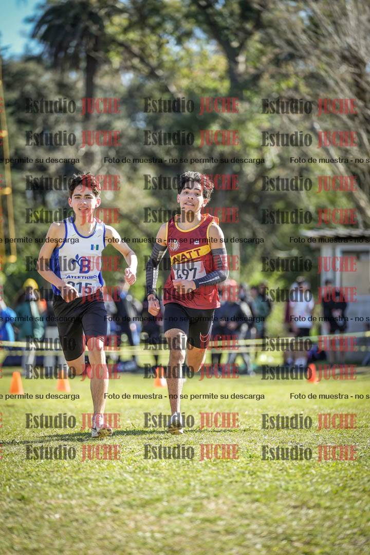Fotos de la llegada del cross de 2000 m