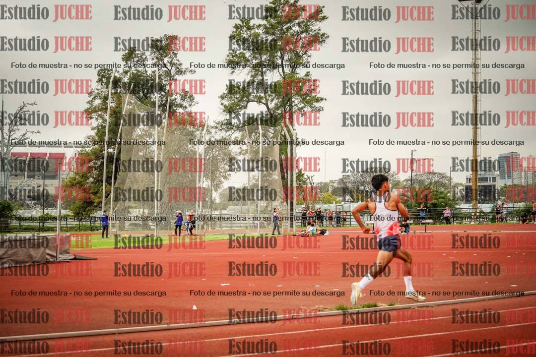 Fotos de los 800 m llanos de varones
