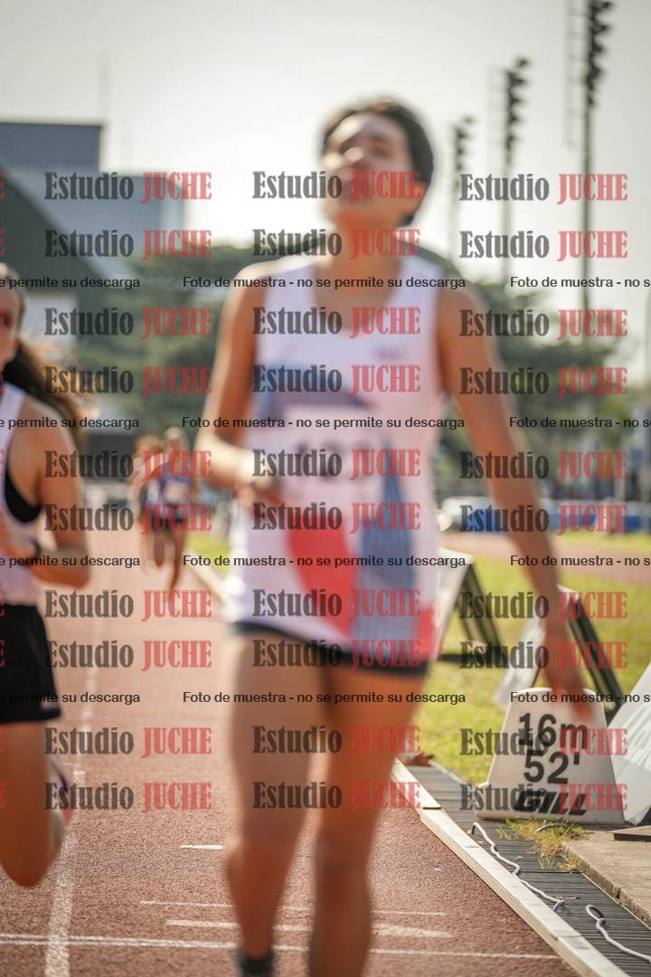 Fotos de los 800 m llanos de mujeres