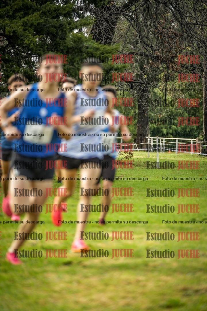 Fotos en el circuito