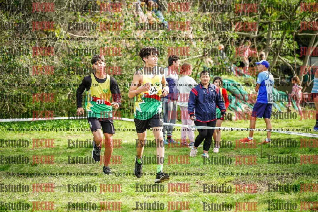 Fotos en el circuito