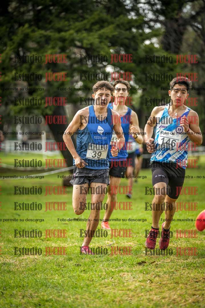 Fotos en el circuito