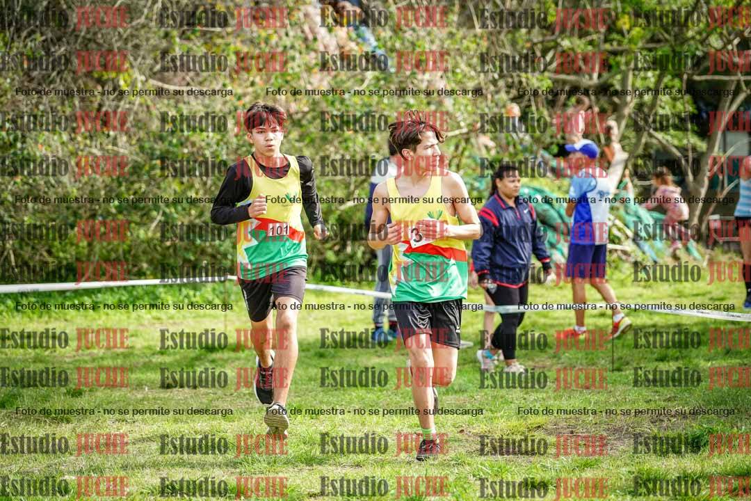 Fotos en el circuito