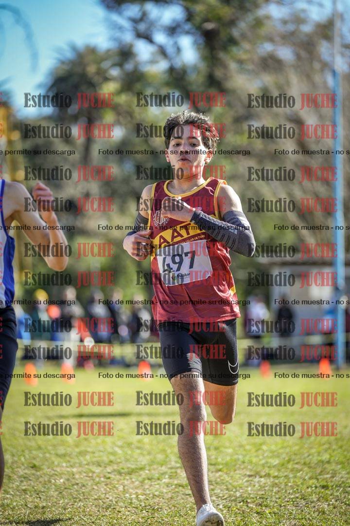 Fotos de la llegada del cross de 2000 m
