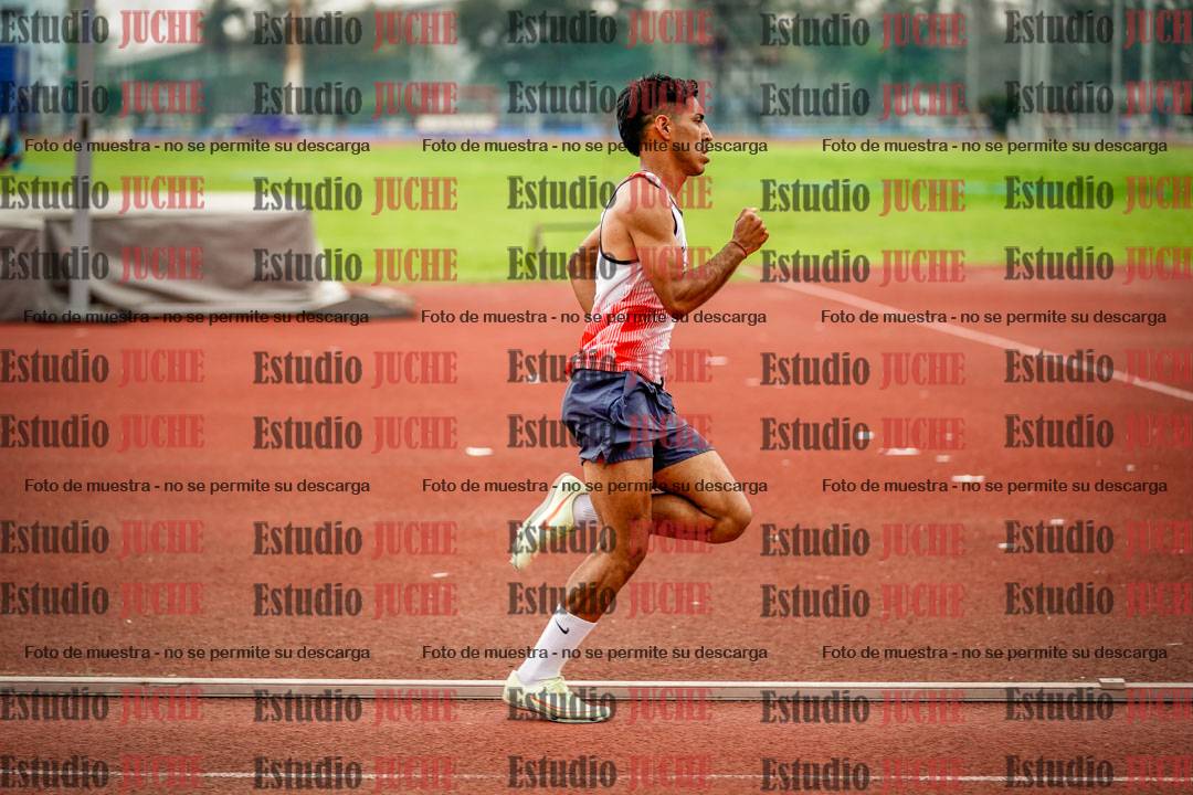 Fotos de los 800 m llanos de varones