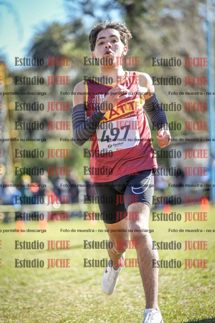 Fotos de la llegada del cross de 2000 m