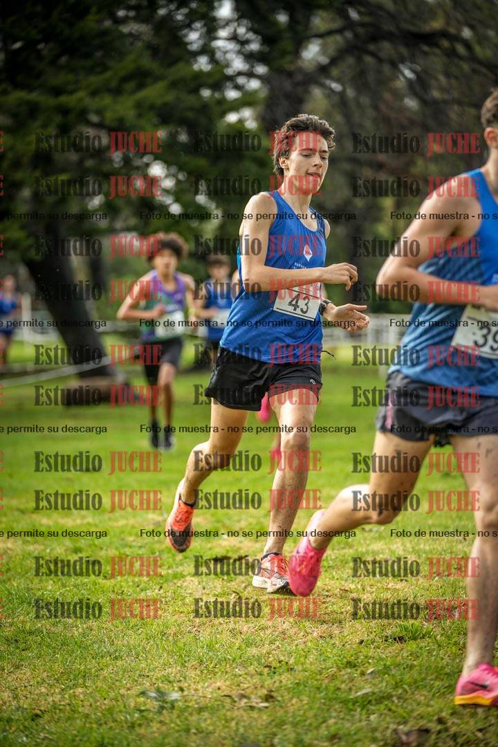Fotos en el circuito