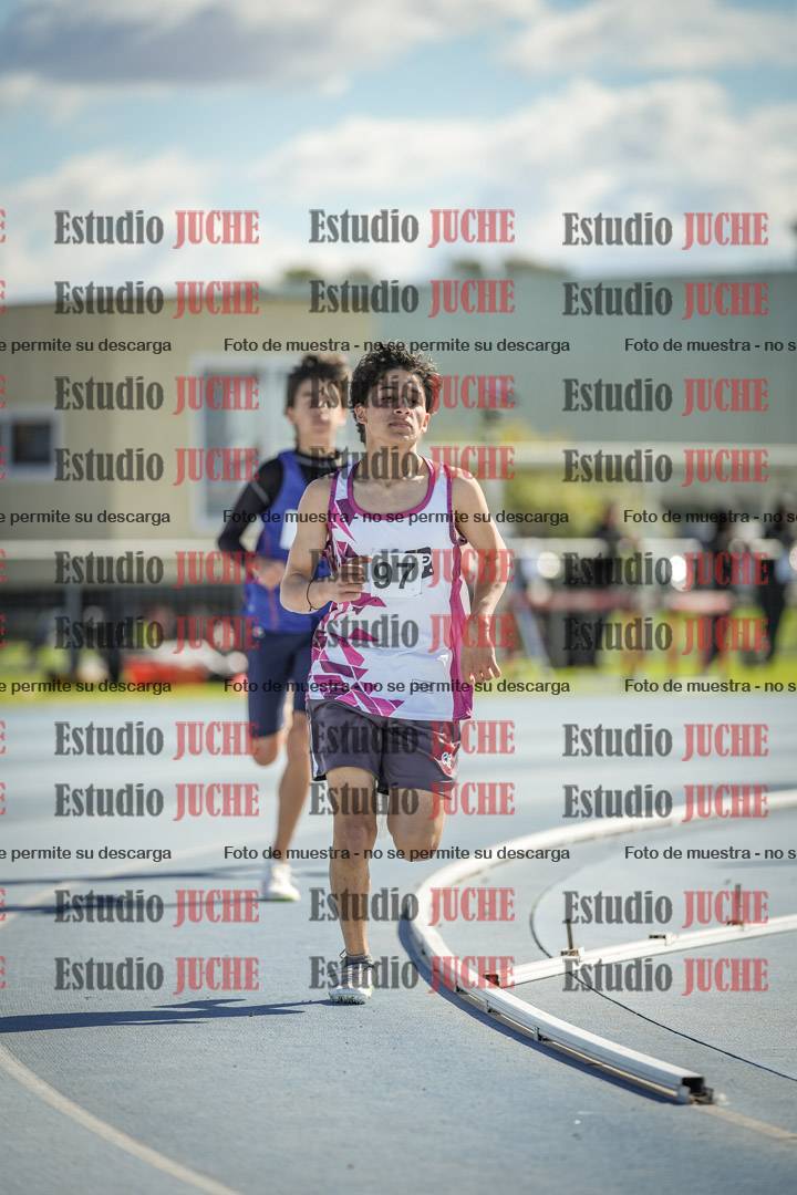 Fotos de los 800 m llanos de varones