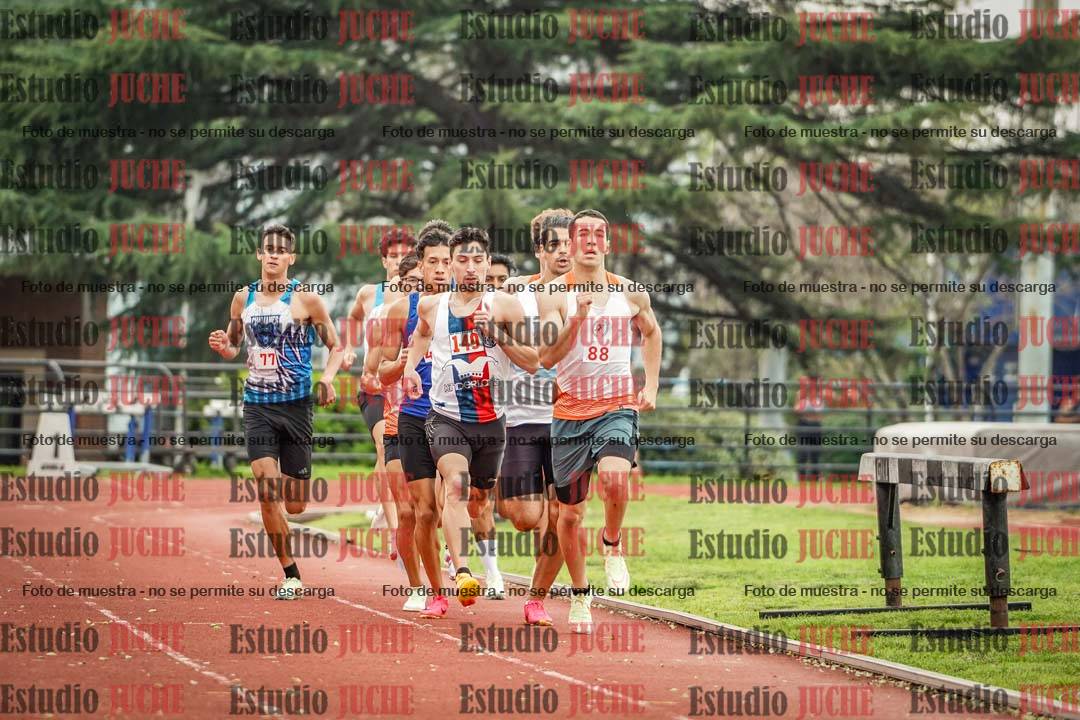 Fotos de los 800 m llanos de varones