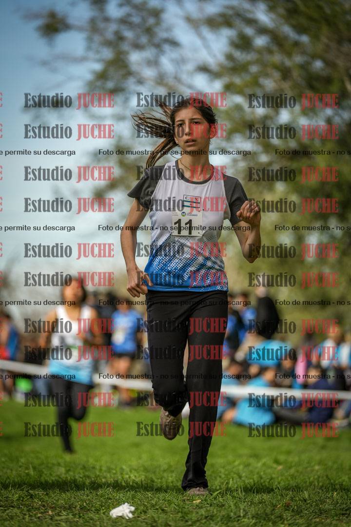 Fotos de la llegada del cross de 2000 m