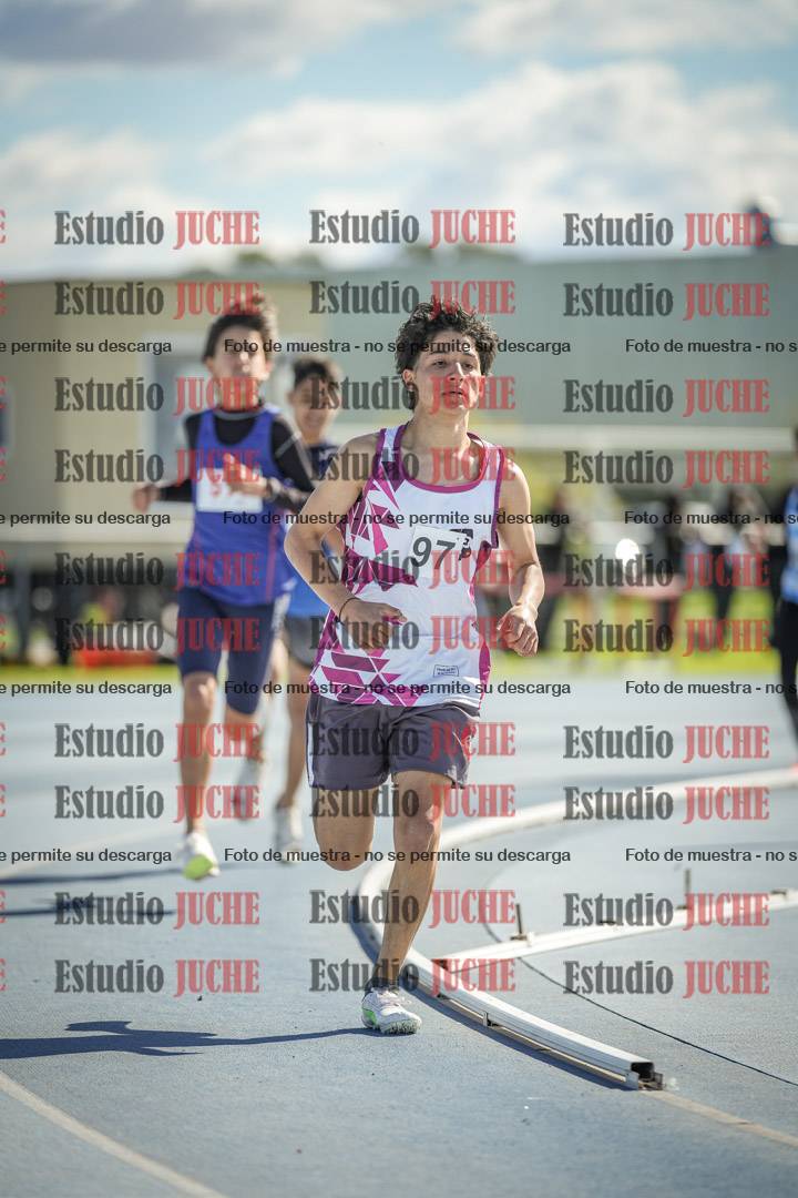 Fotos de los 800 m llanos de varones