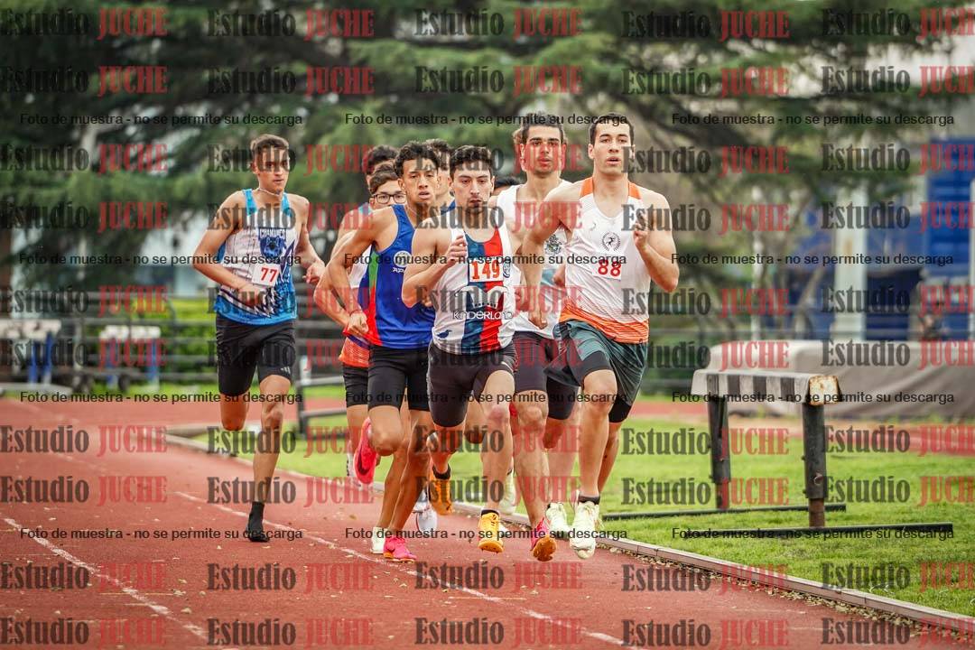 Fotos de los 800 m llanos de varones