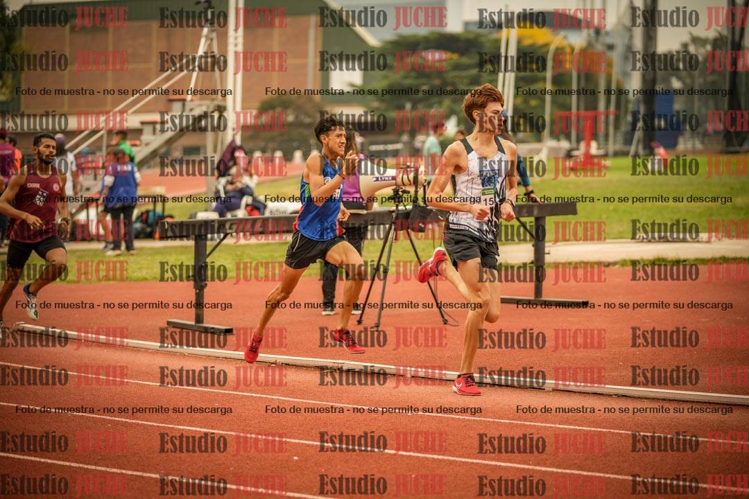 Fotos de los 800 m llanos de varones