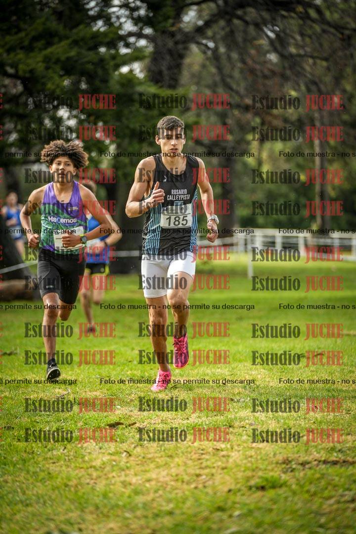 Fotos en el circuito