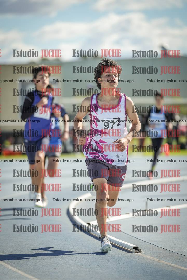 Fotos de los 800 m llanos de varones