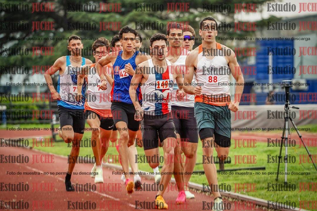 Fotos de los 800 m llanos de varones