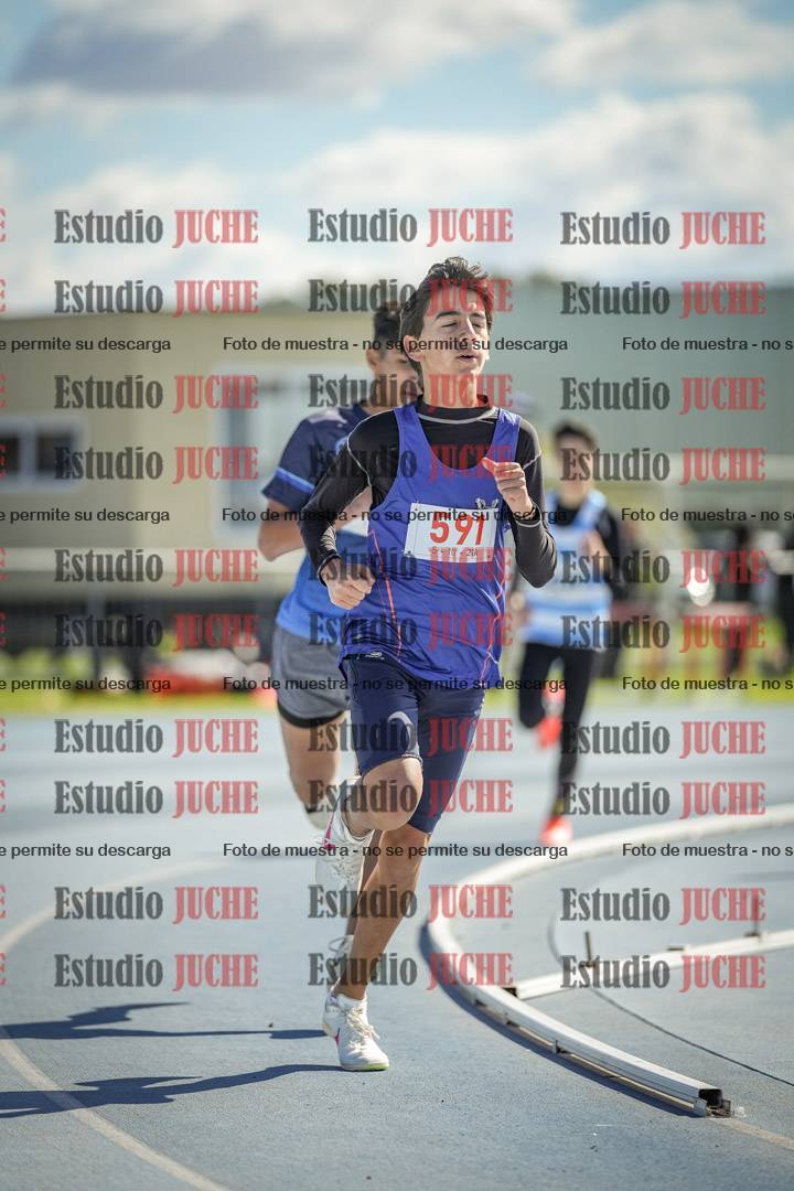 Fotos de los 800 m llanos de varones