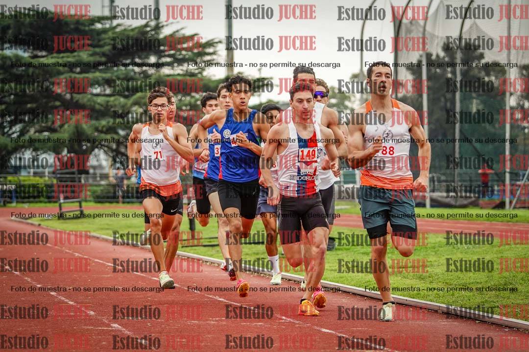 Fotos de los 800 m llanos de varones