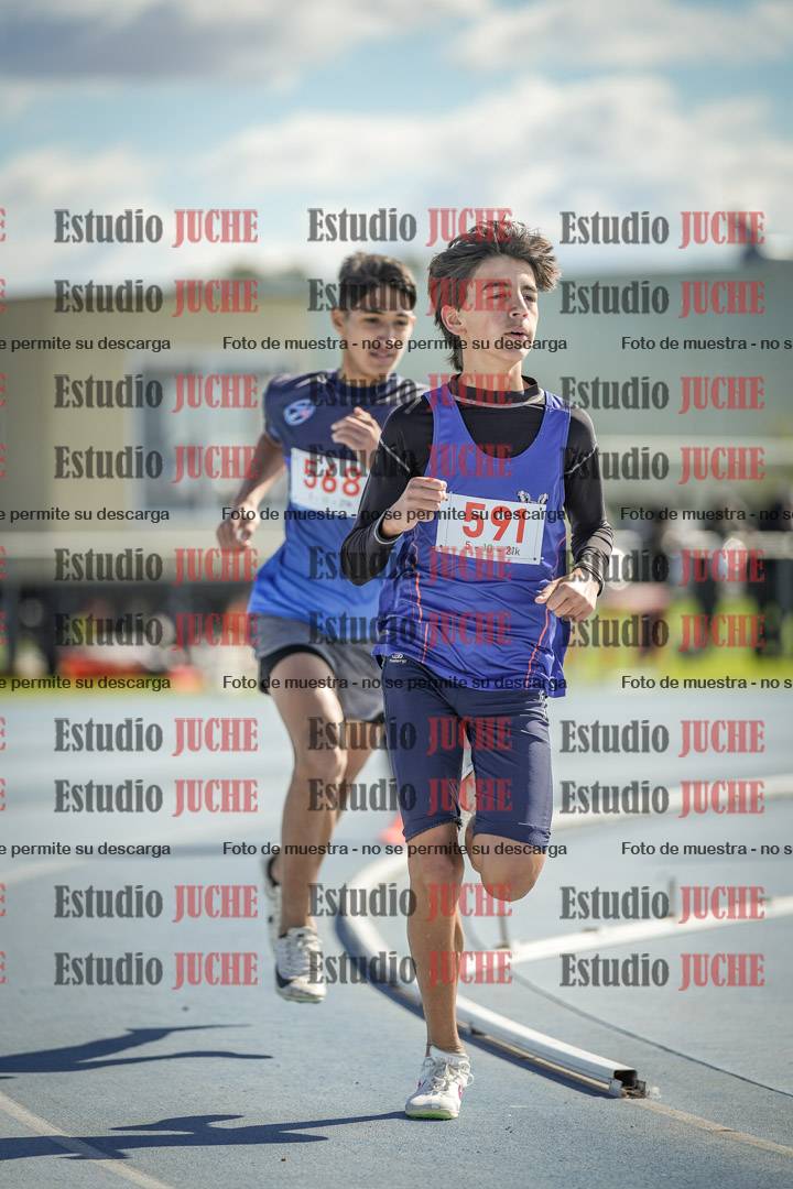 Fotos de los 800 m llanos de varones