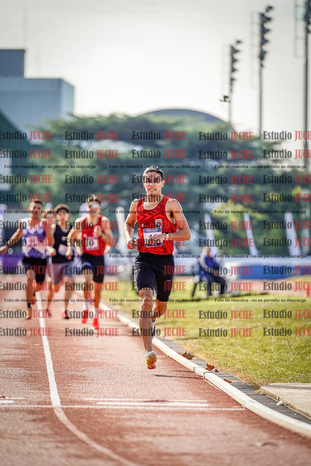 Fotos de los 800 m de varones