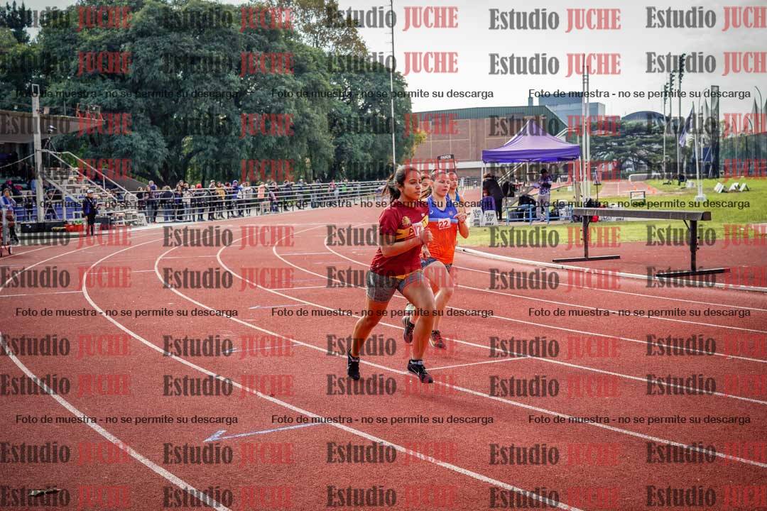 Fotos de los 800 m llanos de mujeres