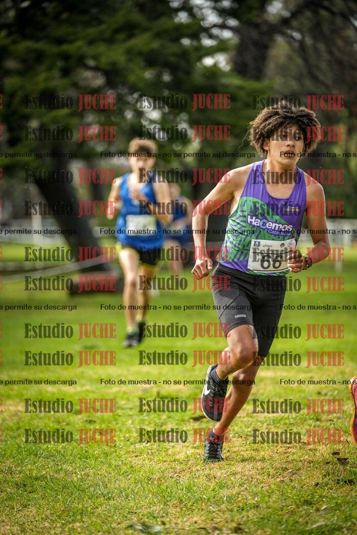 Fotos en el circuito
