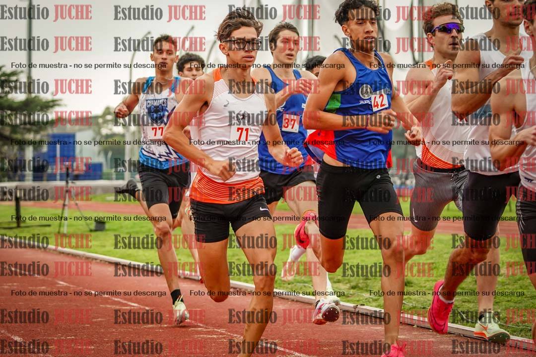 Fotos de los 800 m llanos de varones