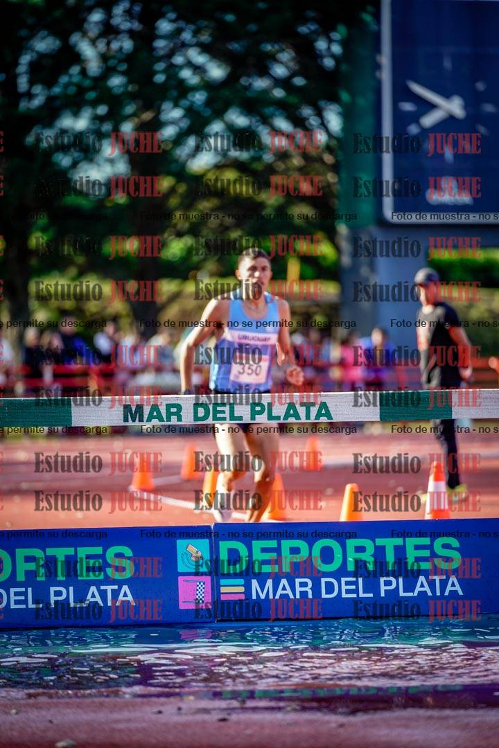 Fotos de los 3000 m con obstáculos de varones