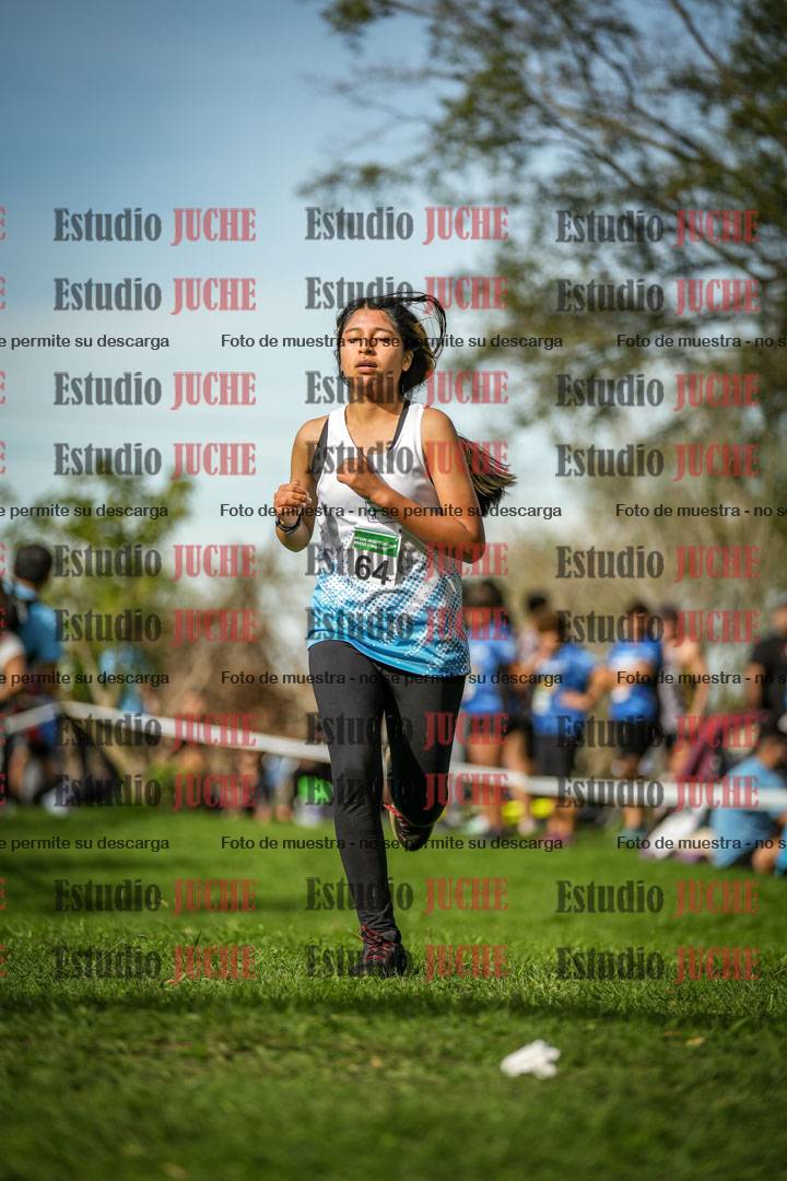 Fotos de la llegada del cross de 2000 m