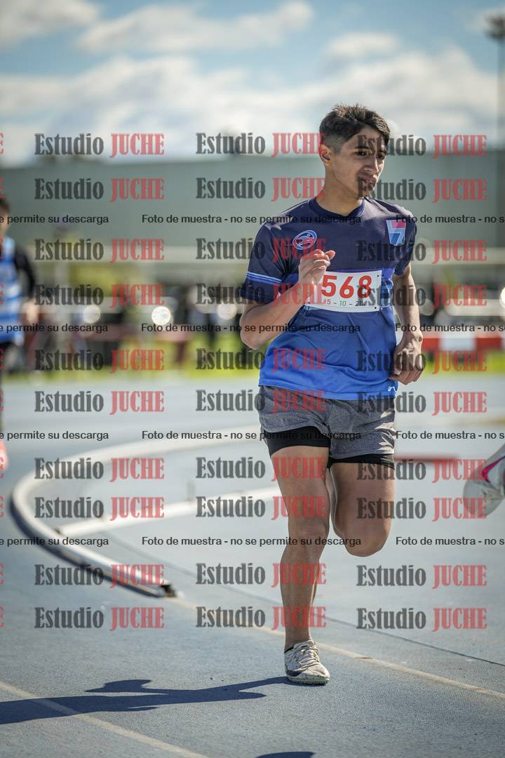 Fotos de los 800 m llanos de varones