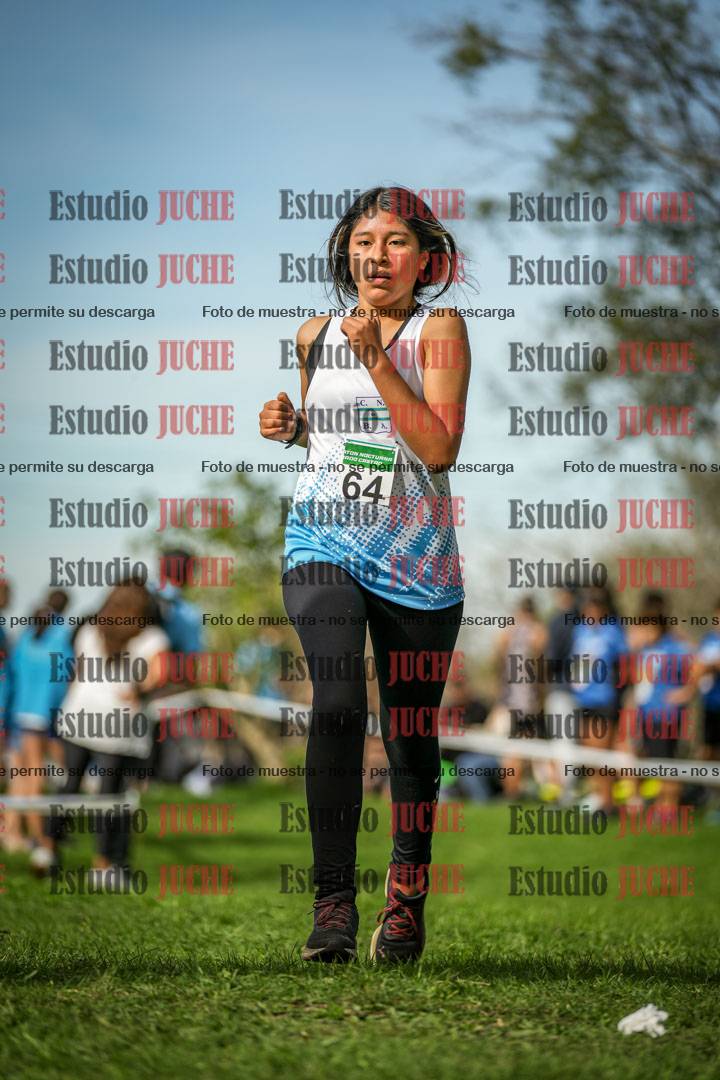 Fotos de la llegada del cross de 2000 m