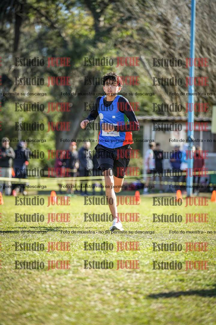 Fotos de la llegada del cross de 2000 m