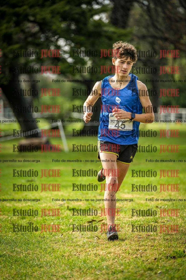 Fotos en el circuito