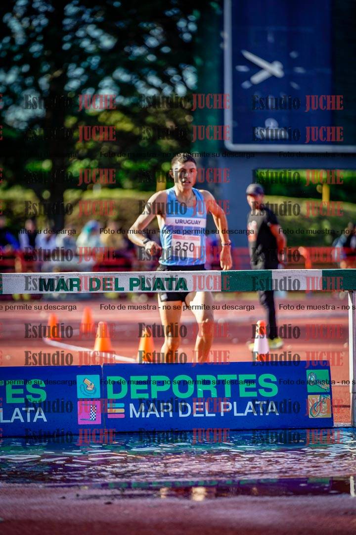 Fotos de los 3000 m con obstáculos de varones