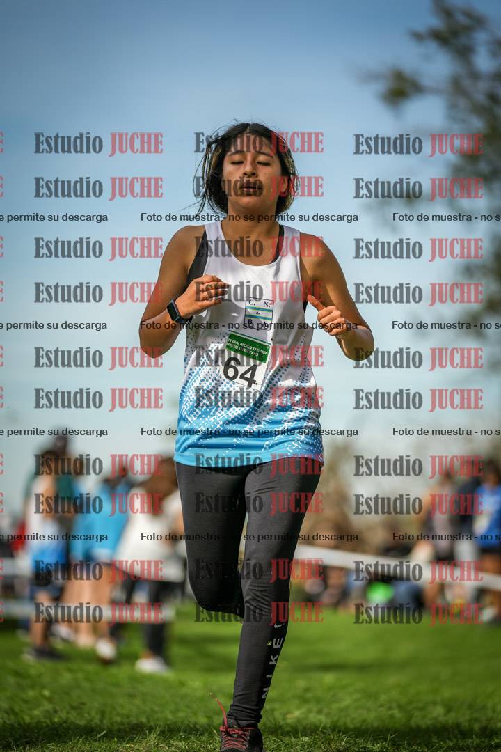 Fotos de la llegada del cross de 2000 m