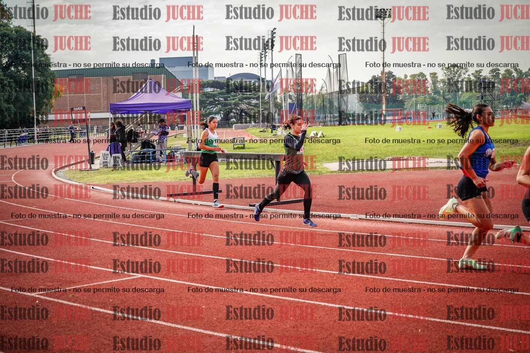 Fotos de los 800 m llanos de mujeres